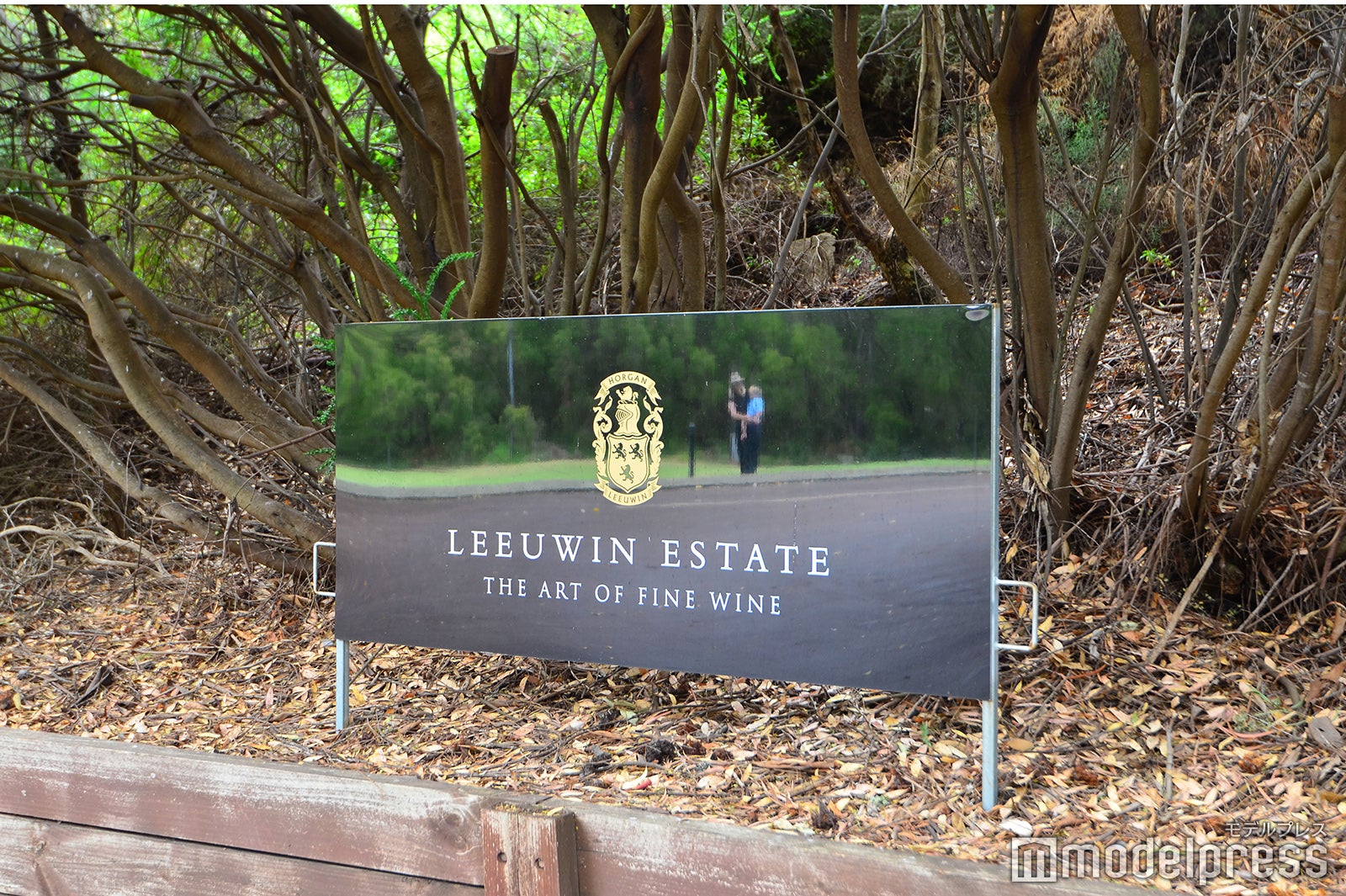 ルーウィン・エステート（C）モデルプレス