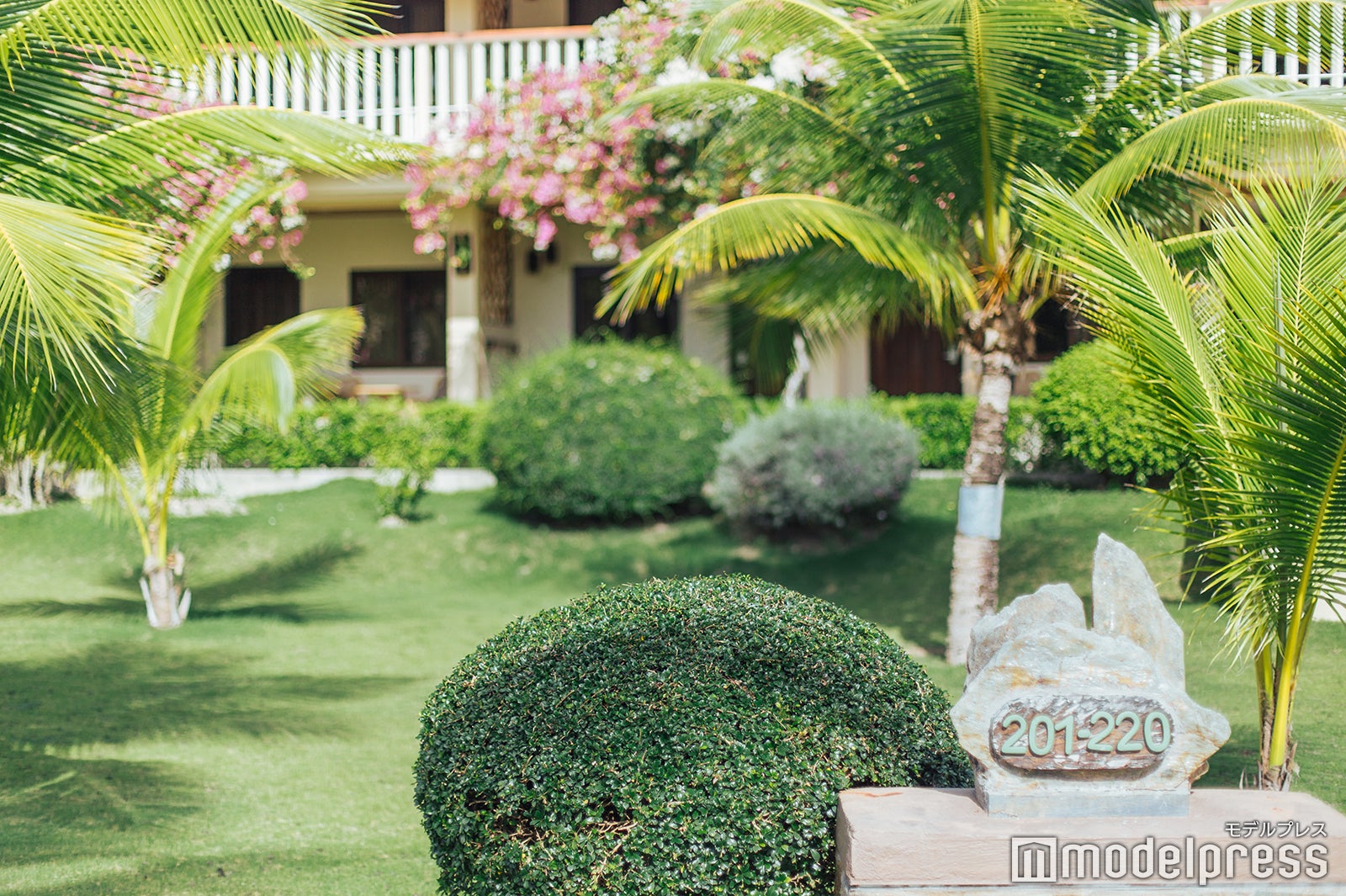 （C）モデルプレス