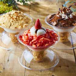 ソルビン「生いちごソルビンゴ」が日本初登場 いちごと大福をトッピング/画像提供:SULBING PR事務局