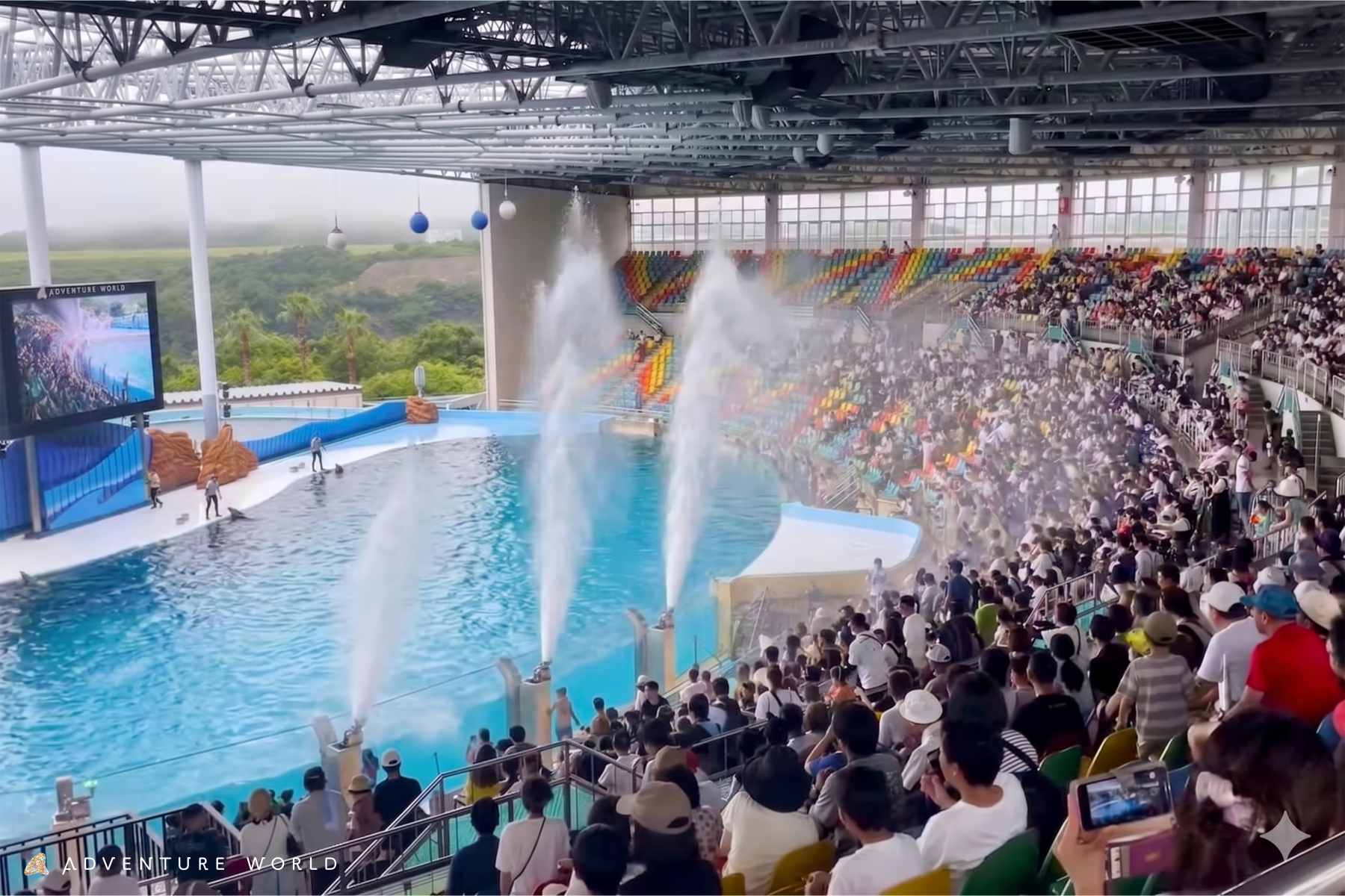 昼はワイルドに、夜はアクティブに！ 「アドベンチャーワールド」の夏イベントは涼しくておもしろい！