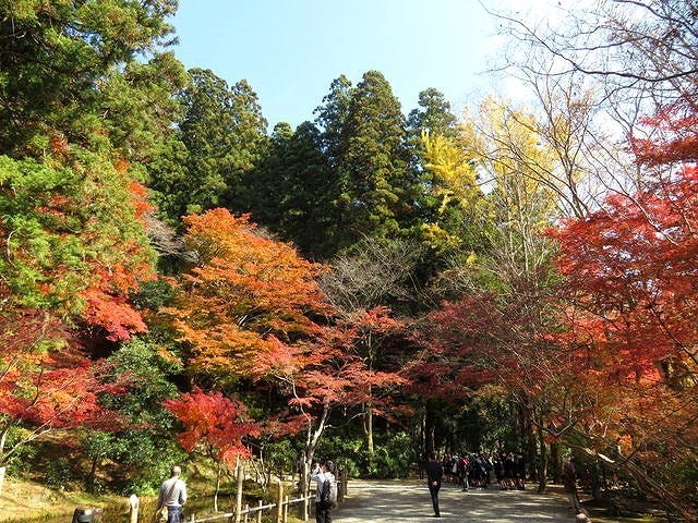 室生寺