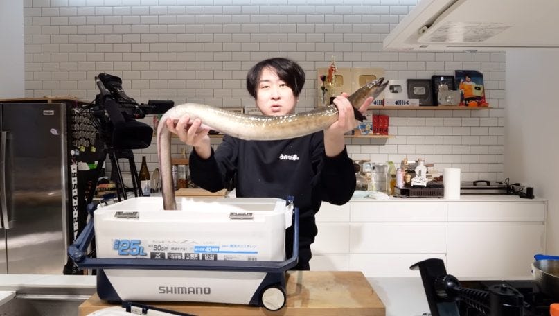1尾3万円の天然ウナギ2kgを煮る!穴子との食べ比べで判明した「別物」の衝撃