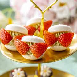 Strawberry Fairy Garden/提供画像