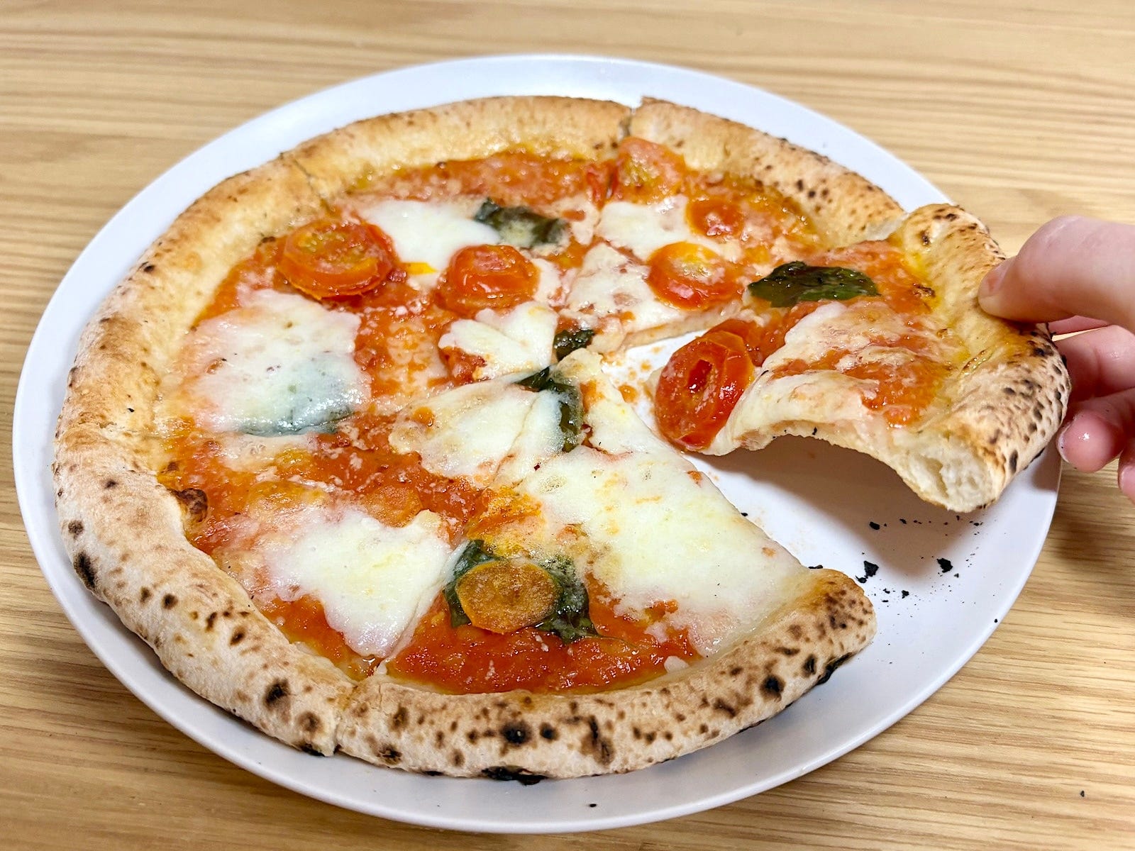 トマトのみずみずしいおいしさと、水牛モッツァレラチーズの濃厚な味わいが絶品！ 