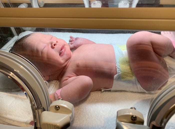 キンタロー。の夫のオフィシャルブログより(Ameba)