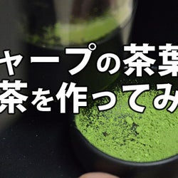 シャープの茶葉で抹茶を作ってみた!【機械 vs 人力】比較レビュー