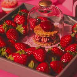 ストロベリーアフタヌーンスイーツビュッフェ ~ときめきいちご狩り~/提供画像