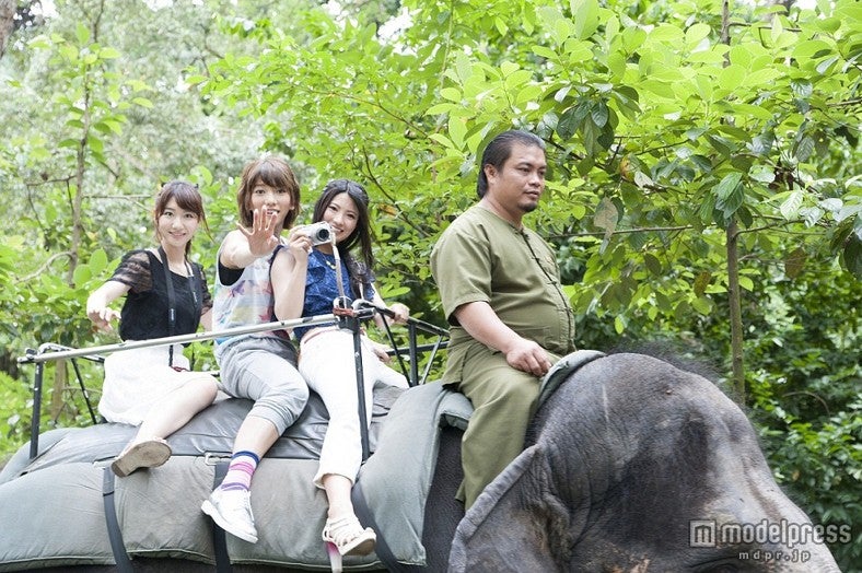 象にも乗ったフレンチ・キス（C）テレビ東京