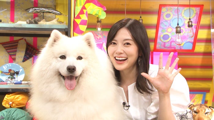 白石麻衣(C)テレビ朝日
