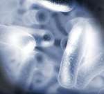 ビオリサットエキス