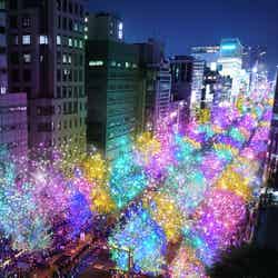 御堂筋イルミネーション2024イメージ/提供素材