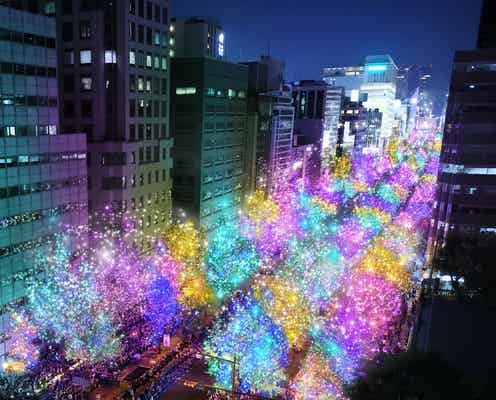 「大阪・光の饗宴2024」開幕!カラフルな御堂筋イルミ&中之島ではグルメマルシェも