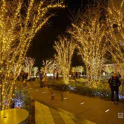 イルミネーション(昨年の様子)(C)TOKYO-SKYTREETOWN