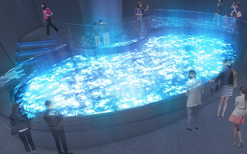 すみだ水族館&京都水族館、リニューアル延期に