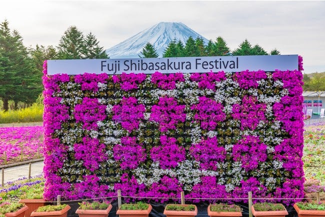 フォトスポット（※イメージ）／画像提供：富士急行