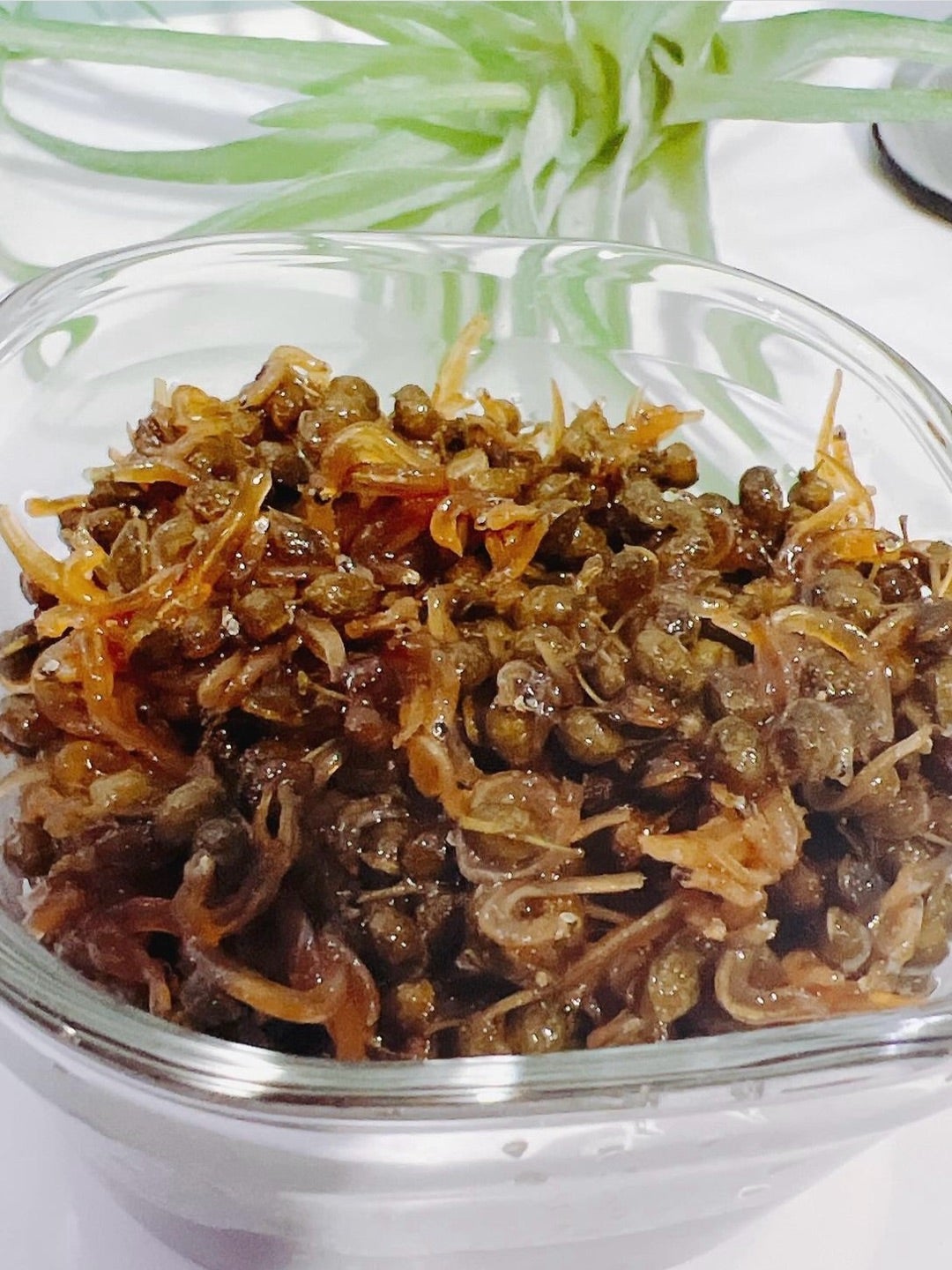 渡辺美奈代公式ブログより