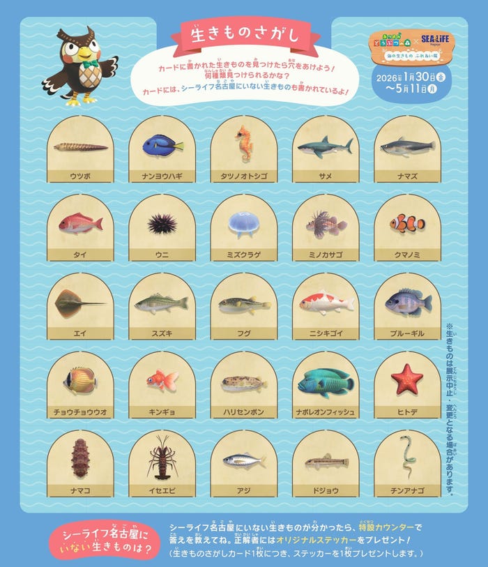 生きものさがしカード(提供写真)