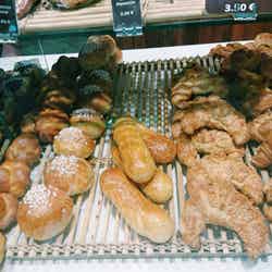 Levain et Tradition/画像提供:所属事務所