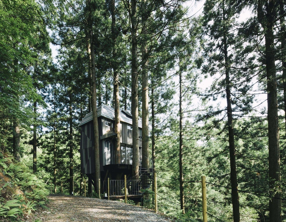 島根に“泊まれるツリーハウス”森の中の秘密の隠れ家に宿泊 - モデルプレス