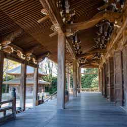 「勝興寺」の本堂は、西本願寺の阿弥陀堂を模して建築されました/提供画像