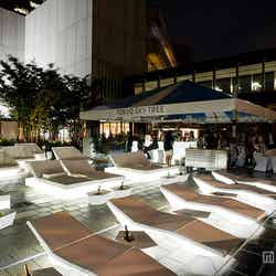 東京スカイツリーを見上げながらお酒を飲める