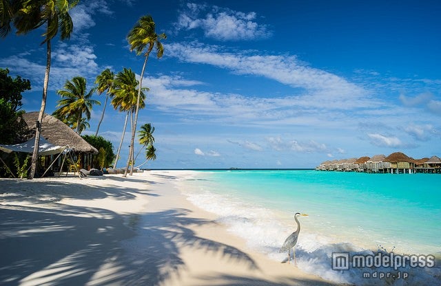 モルディブの水上コテージはロマンティックなムードに浸れる事間違いなし／Photo by Mac Qin