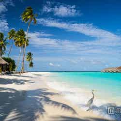 モルディブの水上コテージはロマンティックなムードに浸れる事間違いなし/Photo by Mac Qin