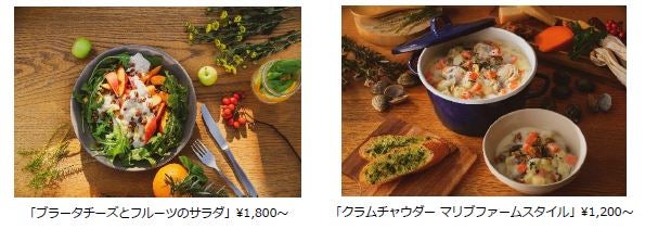 MALIBU FARM／画像提供：リビエラリゾート