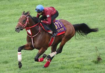 フォーエバーヤング 芝コースで初時計 強烈な瞬発力に坂井「初めてとは思えないくらい、しっかりと走ってくれた」
