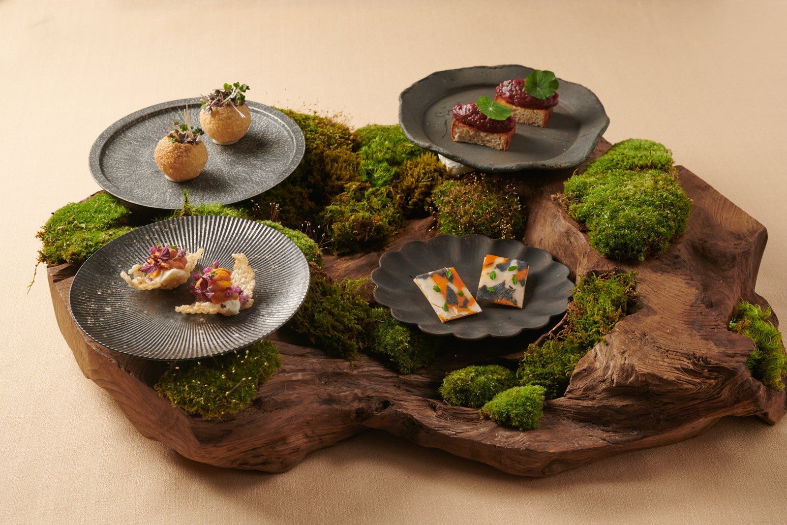 アミューズ（イメージ）／提供画像