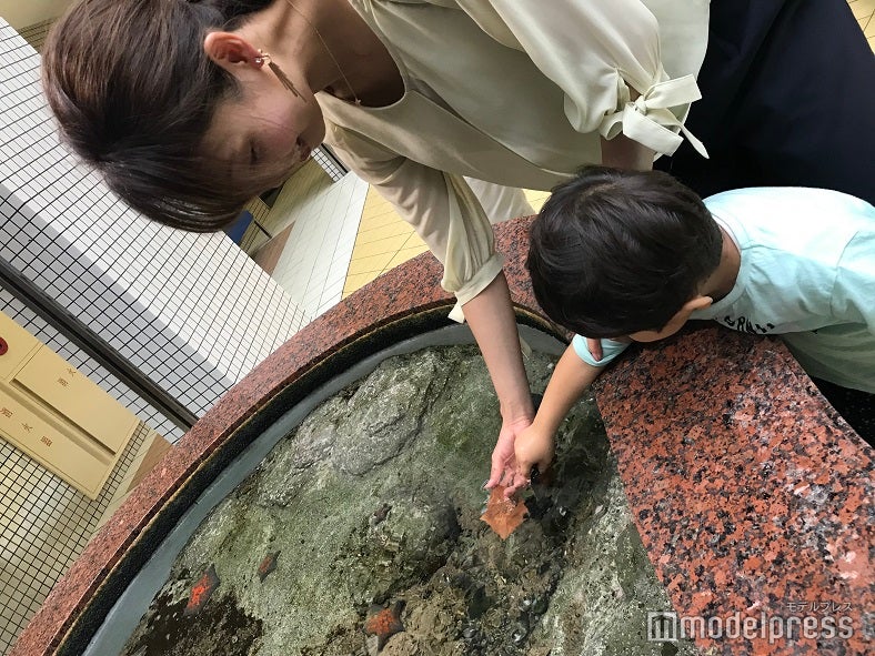 ヒトデに触れ合える体験コーナーも