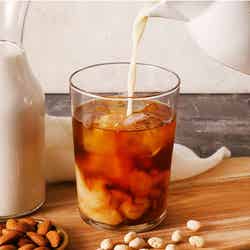 ティーラテシリーズ各 Mサイズ ¥540/画像提供:ポトマック