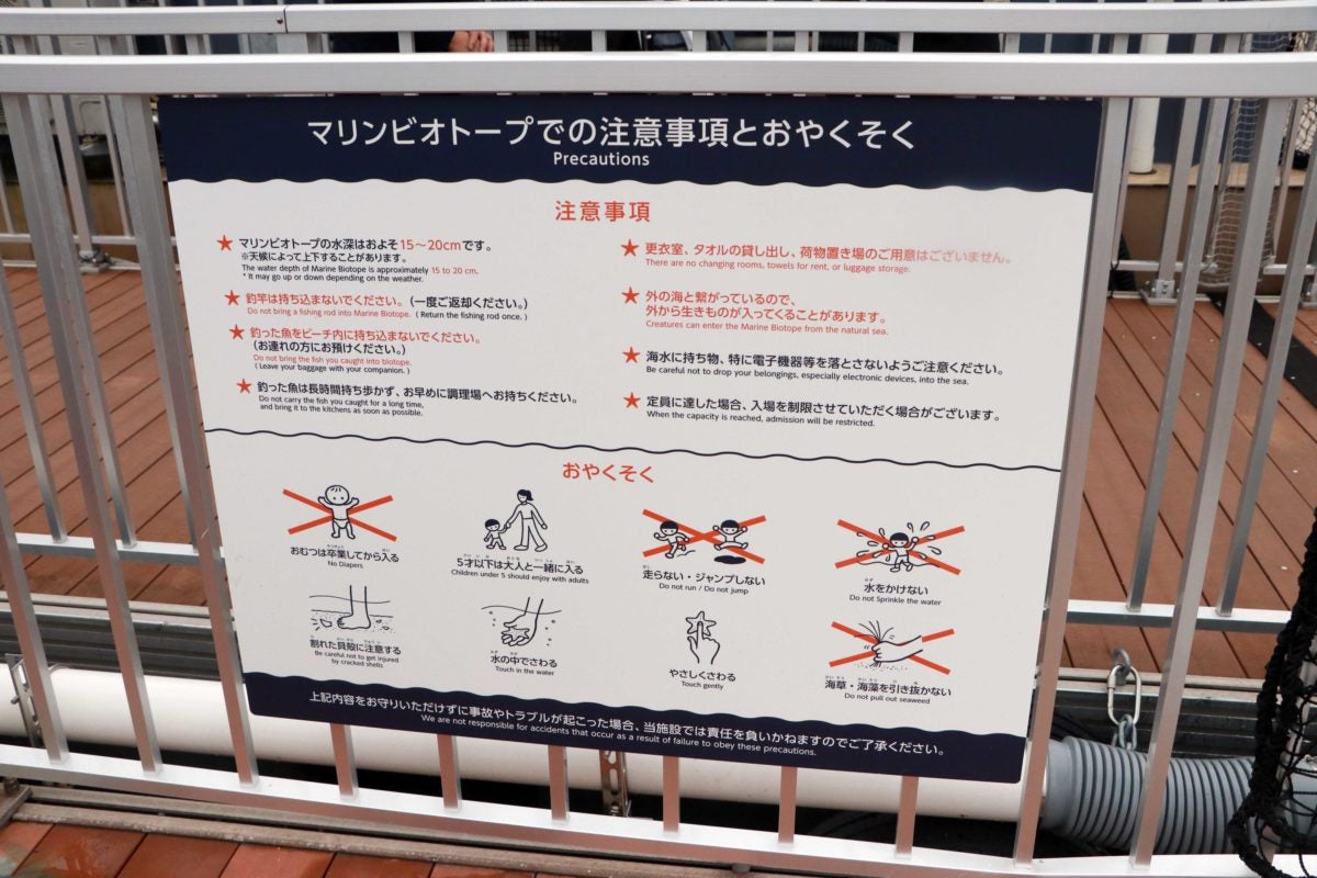 魚を見て 釣って 食べる 八景島シーパラダイス うみファーム が夢の場所過ぎた モデルプレス 魚を見て 釣って 食べる 八景島シーパラダイス うみファーム が夢の場所過ぎた モデルプレス