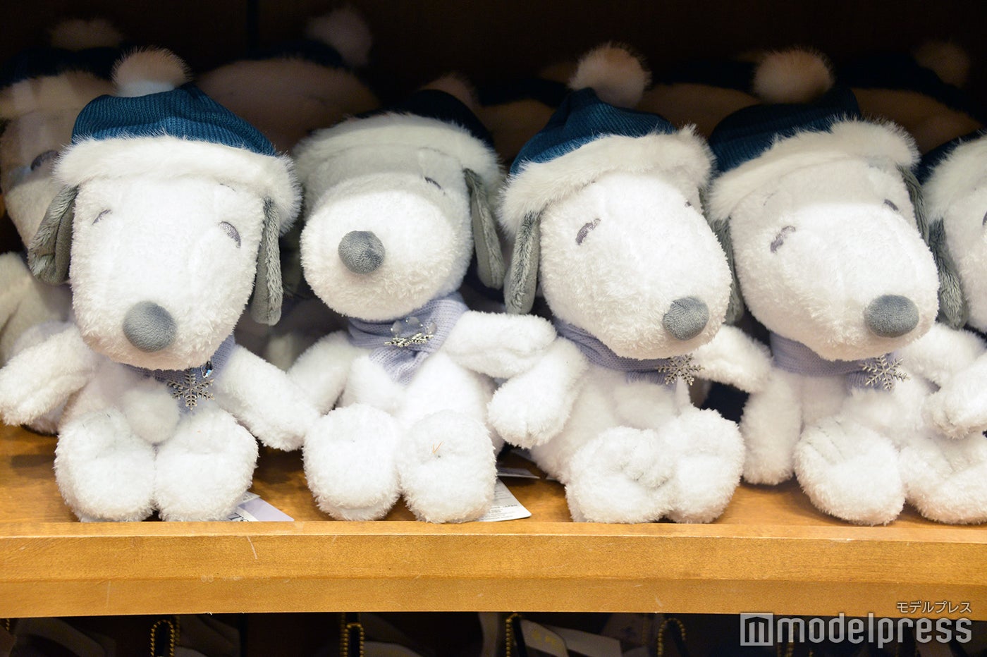 （C）モデルプレス