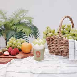 マスカット/画像提供:YOPU