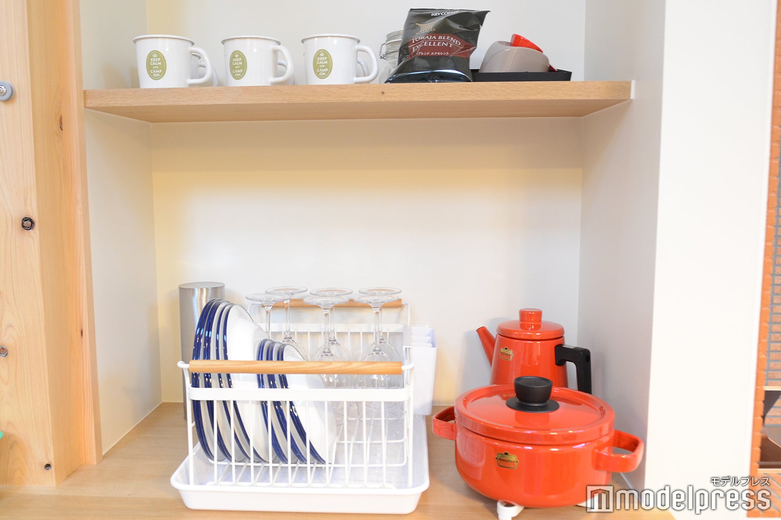 ピカフジヤマ（C）モデルプレス