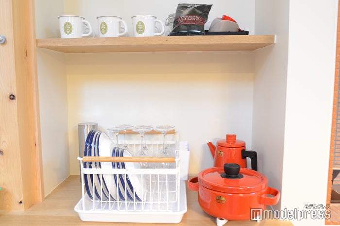 ピカフジヤマ（C）モデルプレス