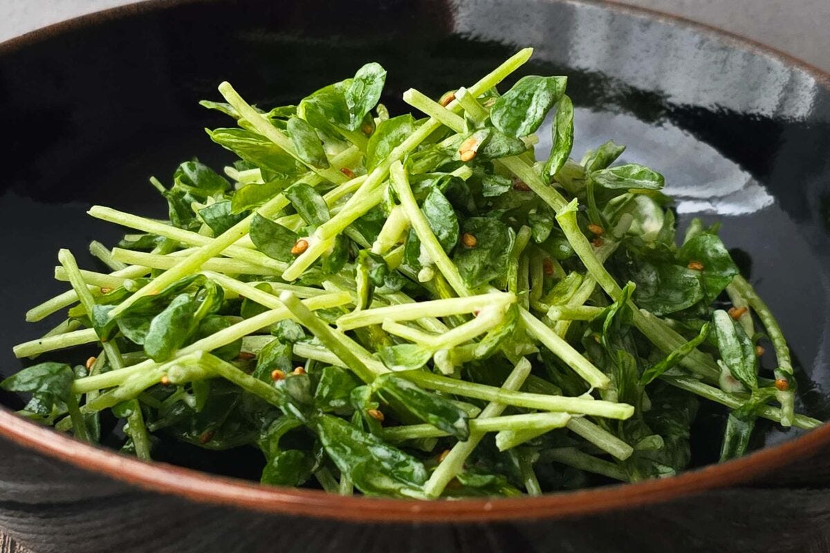 豆苗のガーリックマヨサラダ