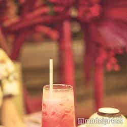 クアン ブイ ガーデン(C)モデルプレス