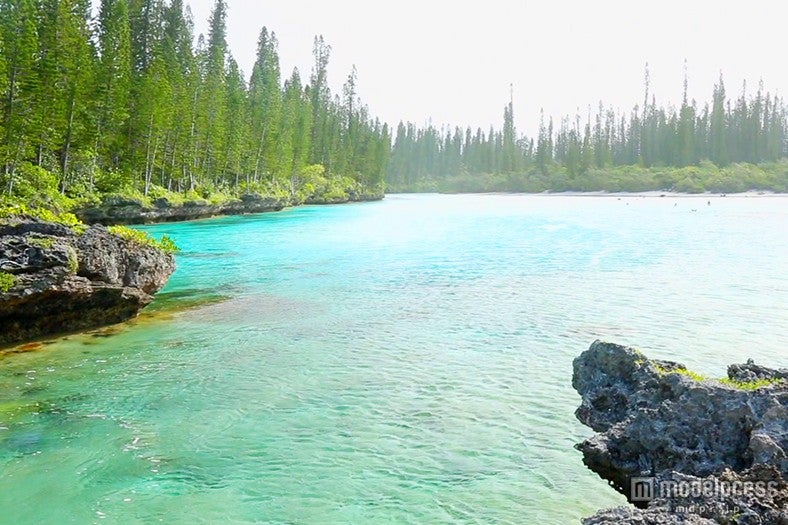 ピッシンヌナチュレル