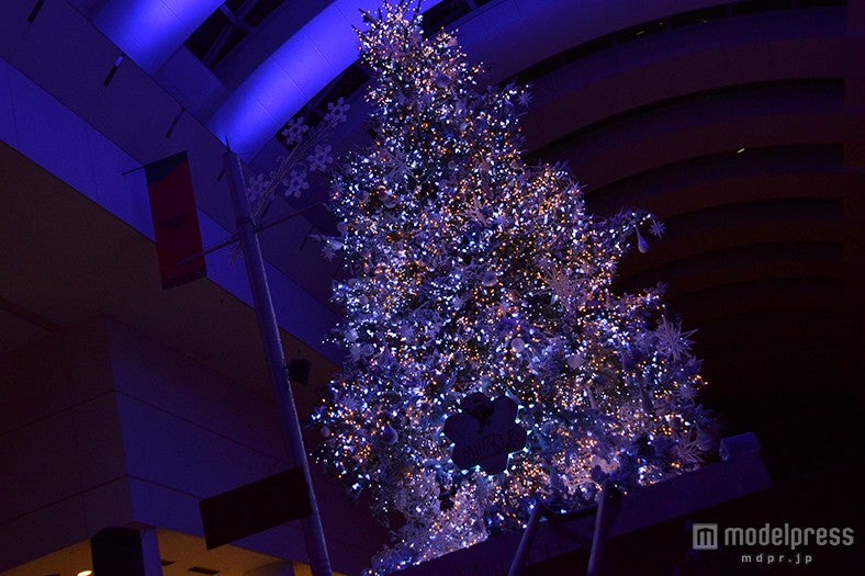 ミラクルツリー点灯式の様子