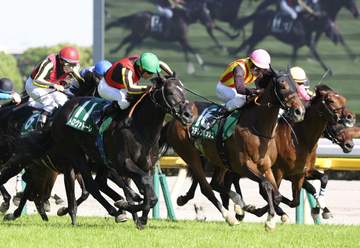 ステレンボッシュは安田記念に参戦 ドゥラドーレスは右前球節部の第一指骨剝離骨折が判明