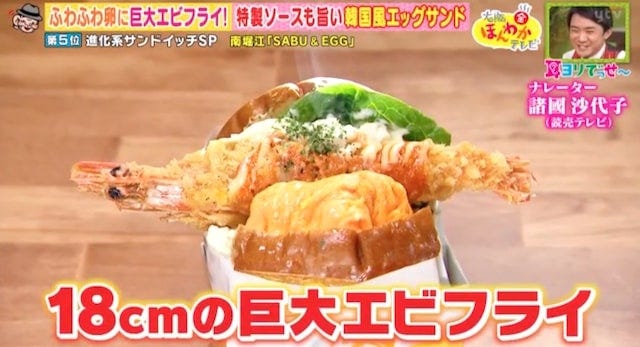 進化系サンドイッチベスト5