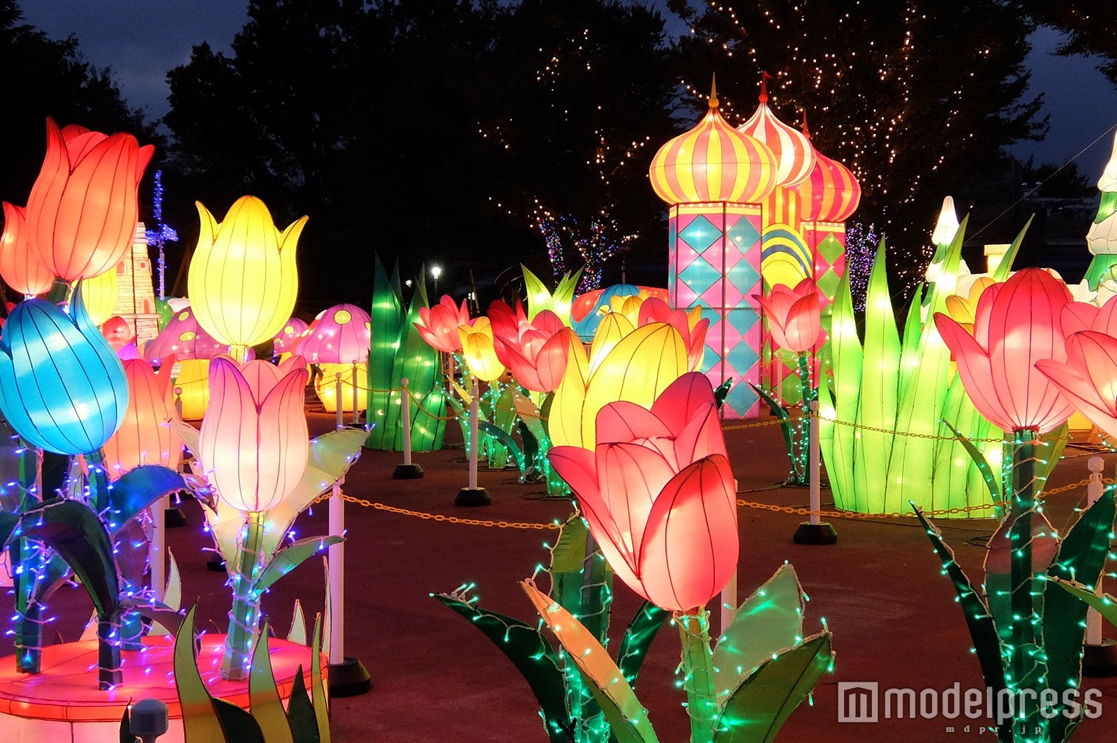 昨年の様子／画像提供：としまえん