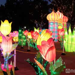 昨年の様子/画像提供:としまえん