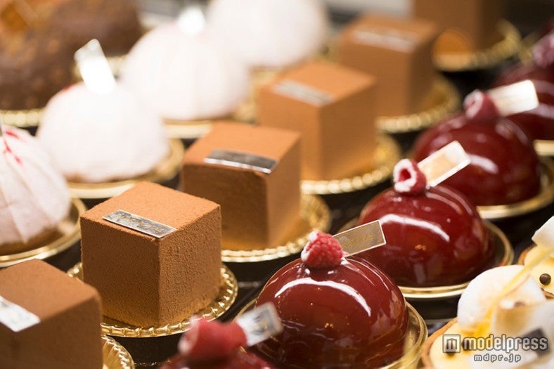 「チョコレートケーキ（キャラメリア、キューブなど）」