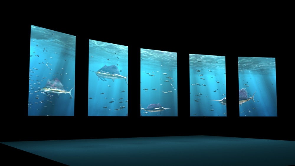 DMMかりゆし水族館／画像提供：DMM.com