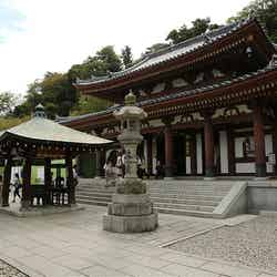 長谷寺／Kamakura - Hase Temple by takoogawa