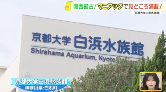 地元の生き物を展示する関西最古の水族館！「京都大学白浜水族館」