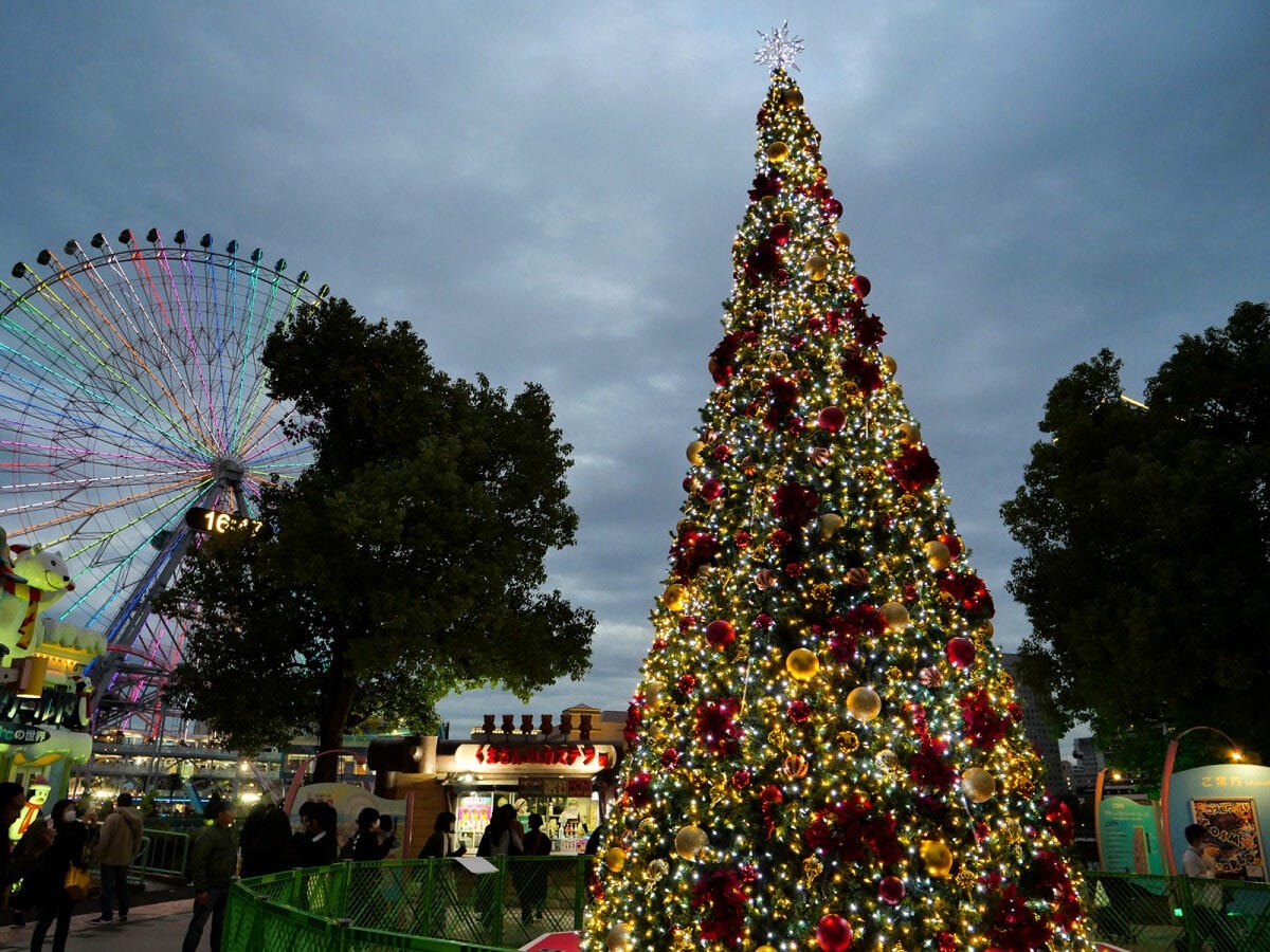 ドラマ『ONE DAY～聖夜のから騒ぎ～』に登場するクリスマスツリーが点灯